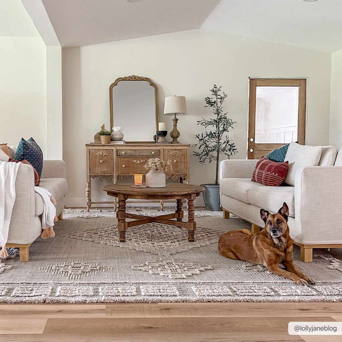 Boutique Rugs - Ampusungan Area Rug