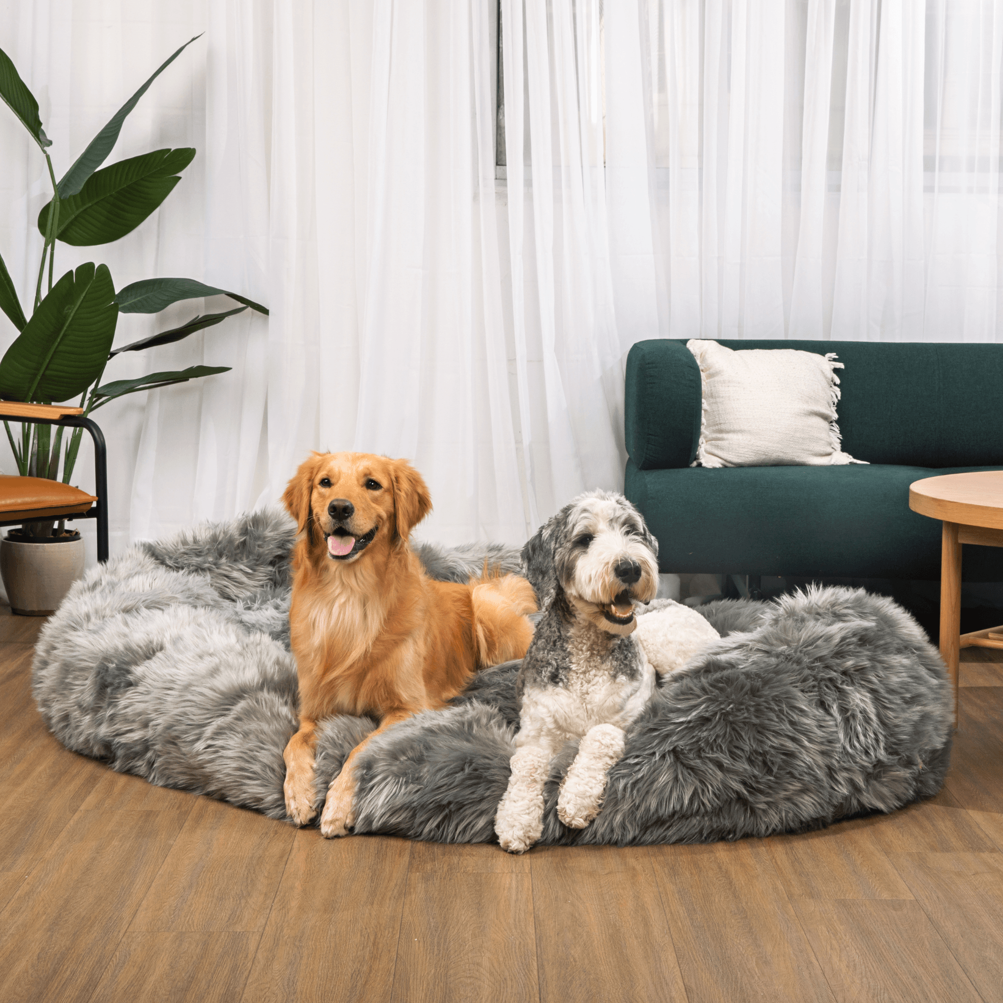 Paw - PupCloud™ Human-Size Faux Fur Memory Foam Dog Bed - Charcoal Grey